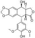 4’-Demethylepipodophyllotoxin