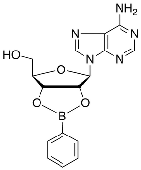 Adenosine-2’,3’-O-phenylboronate