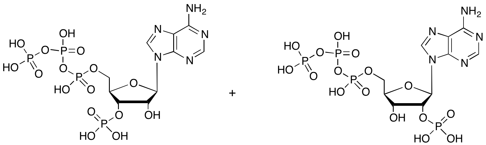 Adenosine 5’-Triphosphate, 3’-phosphate, 1:1 mixture with Adenosine 5’-Triphosphate, 2’-phosphate