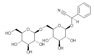 Amygdalin Amygdalin