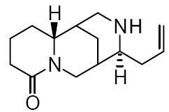 Angustifoline Angustifoline