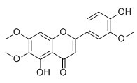 Cirsilineol
