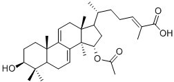 Ganoderic acid TN