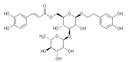 Isoacteoside