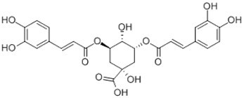 Isochlorogenic acid A