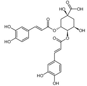 Isochlorogenic acid B