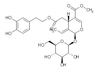 Oleuropein Oleuropein