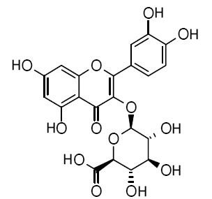 Quercetin-3-O-glucuronide