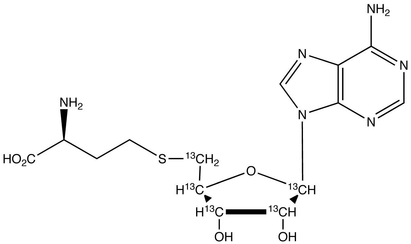 S-(5’-Adenosyl)-L-homocysteine-13C5