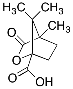 (S)-Camphanic Acid