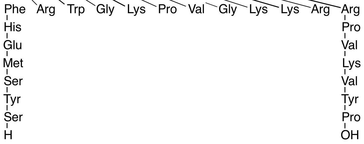 α1-24-Adrenocorticotropic Hormone