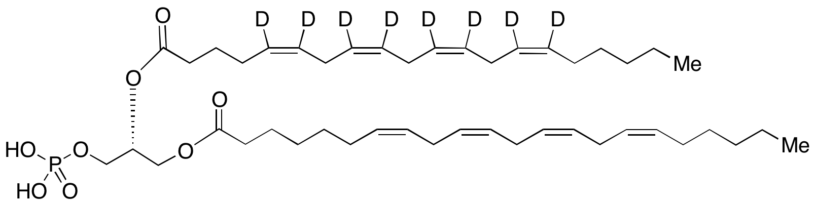 1-(7Z,10Z,13Z,16Z-Docosatetraenoyl)-2-(5Z,8Z,11Z,14Z-eicosatetraenoyl)-glycero-3-phosphate-d8