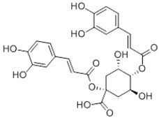 1,4-Dicaffeoylquinic acid 