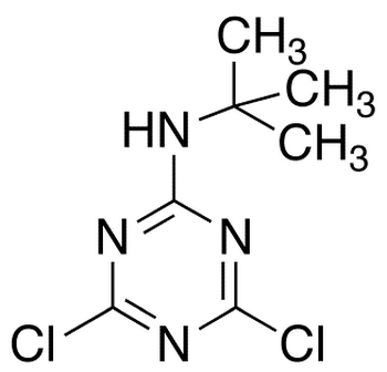 2-(tert-Butylamino)-4,6-dichloro-1,3,5-triazine