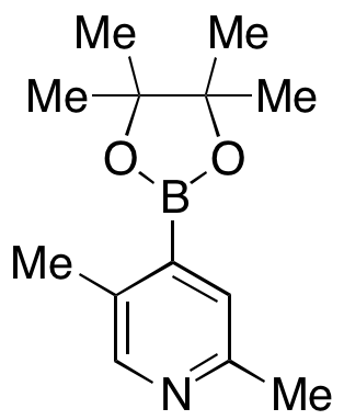 2,5-Dimethyl-4-(4,4,5,5-tetramethyl-1,3,2-dioxaborolan-2-yl)-pyridine