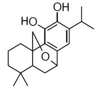 20-Deoxocarnosol