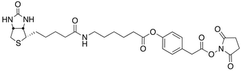 3-(4-(N-Biotinoyl-6-aminocaproyloxy)phenyl)propionic Acid, N-Hydroxysuccinimide Ester