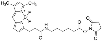 3-Bodipy-propanoylaminocaproic Acid, N-Hydroxysuccinimide Ester