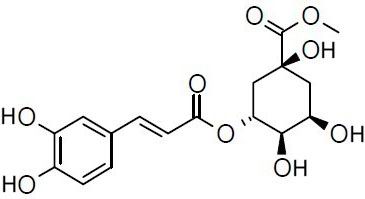 3-O-Caffeoylquinic acid methyl ester