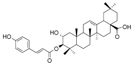 3-beta-O-(trans-p-Coumaroyl)maslinic acid