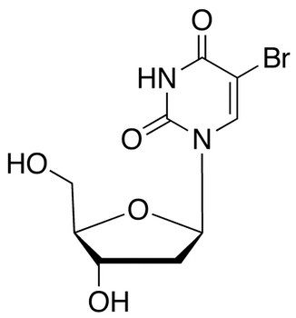 5-Bromo-2’-deoxyuridine