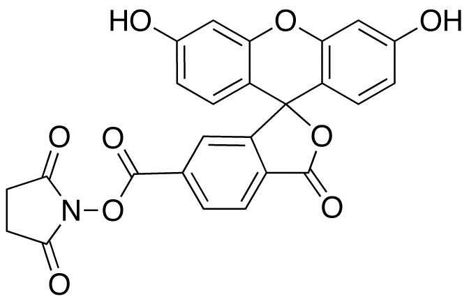 6-Carboxyfluorescein-N-hydroxysuccinimide Ester