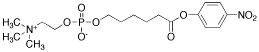 6-Carboxyhexylphosphocholine p-Nitrophenyl Ester
