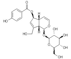 6-O-p-Hydroxybenzoylaucubin