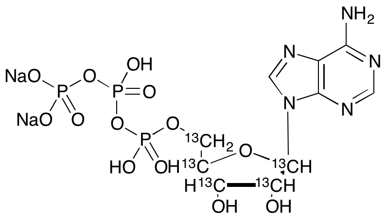 Adenosine 5’-Triphosphate Disodium Salt-13C5
