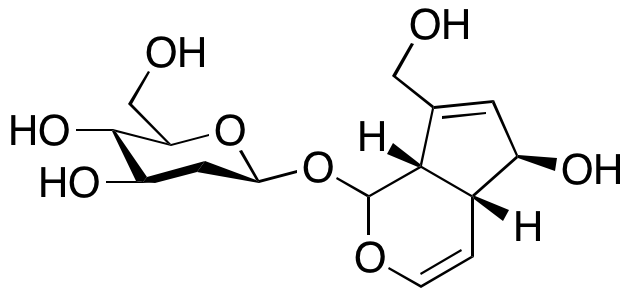 Aucubine