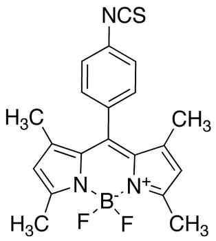 Bodipy Isothiocyanate