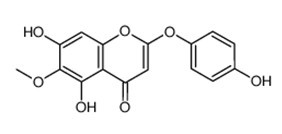 Capillarisin