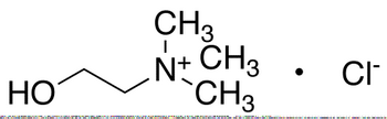 Choline Chloride
