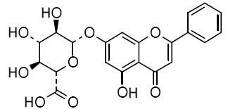 Chrysin 7-O-beta-D-glucopyranuronoside