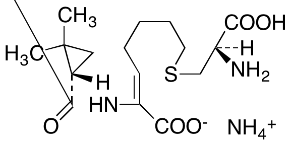 Cilastatin Ammonium Salt