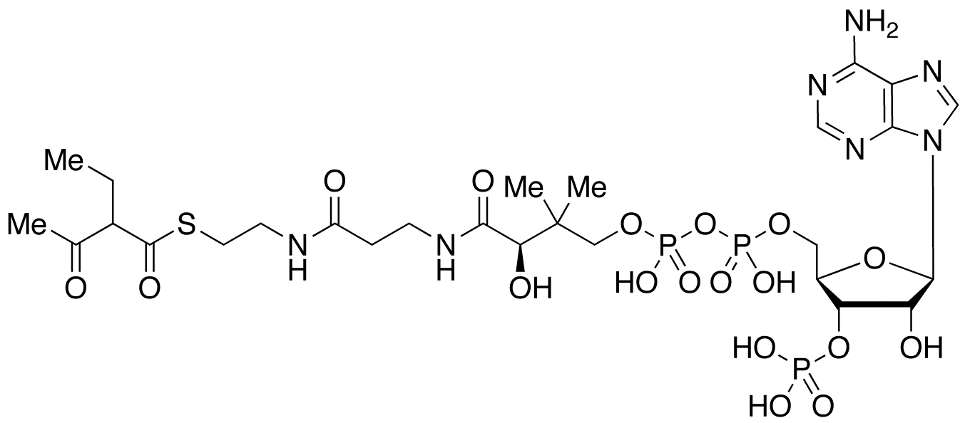 Coenzyme A S-(2-Ethyl-3-oxobutanoate)