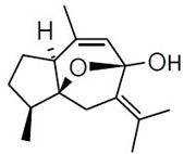 Curcumenol