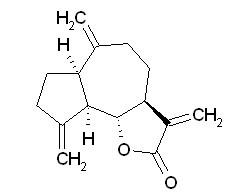 Dehydrocostus lactone