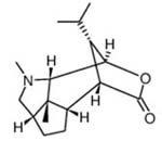 Dendrobine