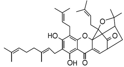 Desoxygambogenin