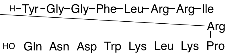 Dinorphin A