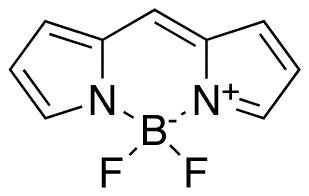 Dipyrrometheneboron Difluoride