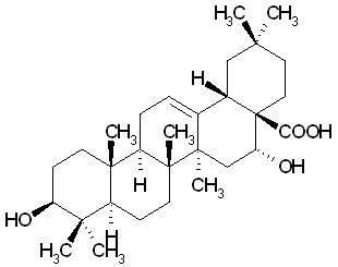 Echinocystic acid