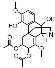 Fenfangjine G