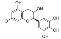 (+)-Gallocatechin