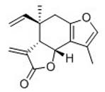 Isolinderalactone