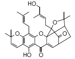 Isomorellinol