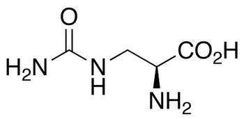L-Albizziin