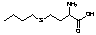L-Buthionine