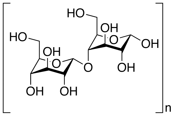 Maltodextrin Maltodextrin